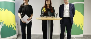 Klart unga politiker vill lajva House of Cards 