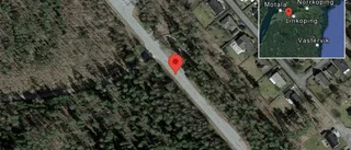 Fallna träd skapar problem i trafiken