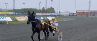 Skellefteåtravet avslutar säsongen med V65