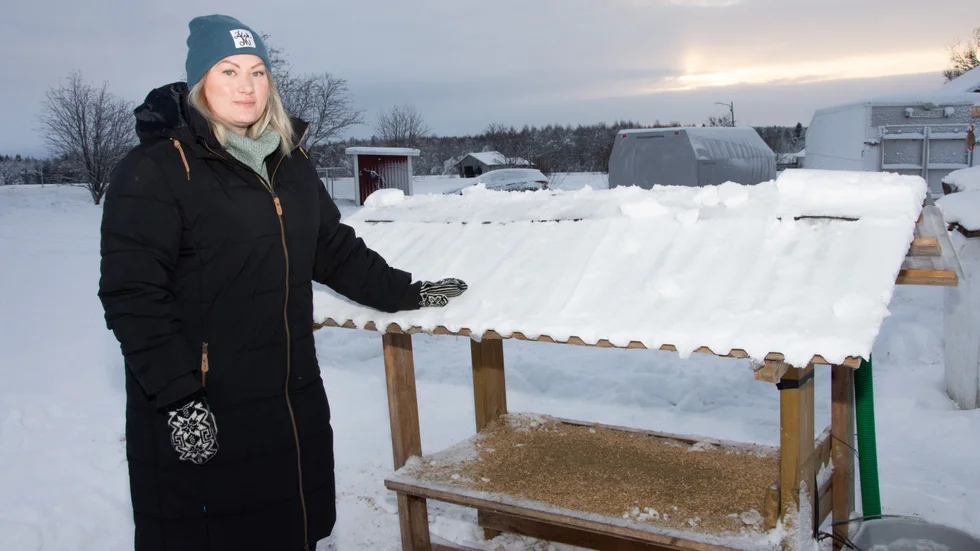 Här serveras havrekross och viltfoder. Förra vintern lade hon ut 15 000 kronor på foder.