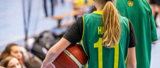 Alarmerande att allt färre engagerar sig ideellt
