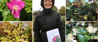 Expertens tips: Så bekämpar du invasiva växter bäst