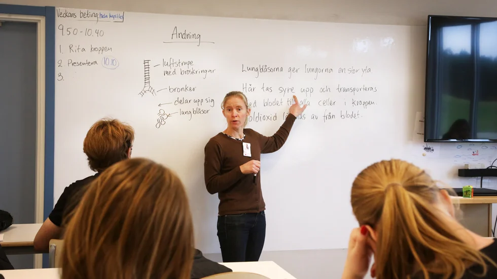 Högby i Hemse har som många andra skolor behov av att rekrytera behöriga lärare framöver. Petra Ahlström omskolade sig från biolog och flyttade till Sudret, ett val hon inte ångrar.