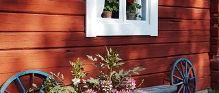 Alltid fint på Kvarngården i Björkfors