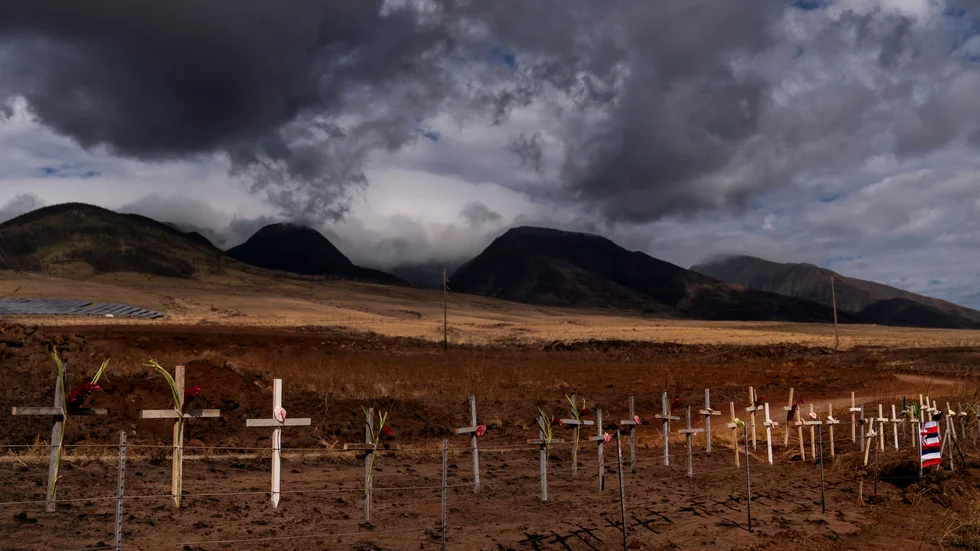 Träkors som rests till ära av offren för skogsbranden på Maui utanför staden Lahaina.