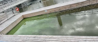 Nu stänger badet för säsongen – algerna vann