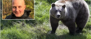 Färre björnar får fällas vid kusten