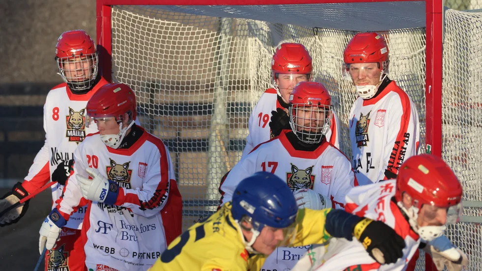 Målilla Bandy har en stark säsong som nykomlingar i ettan bakom sig.