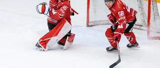 Bekräftat: Hästen-backen är klar för SHL-klubben