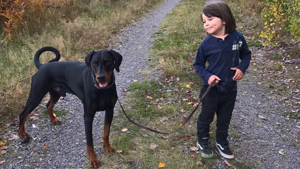 Hunden Devil larmade Bills mamma när han satte i halsen. 