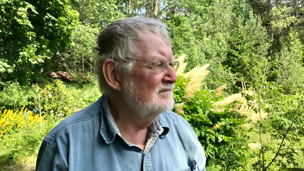 Lars går ut och letar efter sin försvunna fru Ann-Margret, men börjar ge upp hoppet. Nu hoppas familjen på fler tips.  Någon måste ha sett henne, resonerar de. 