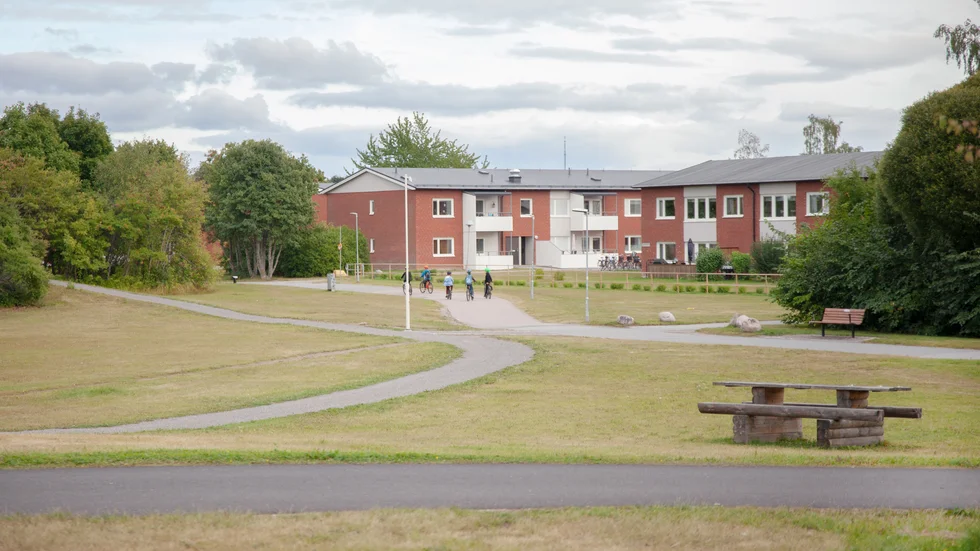 Trevliga elever i Årstaparken gladde oss 70-plussare, skriver Karin Johansson.