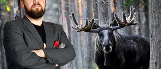"Varpå älgjävulen reser på sig och vinglar iväg över hygget"