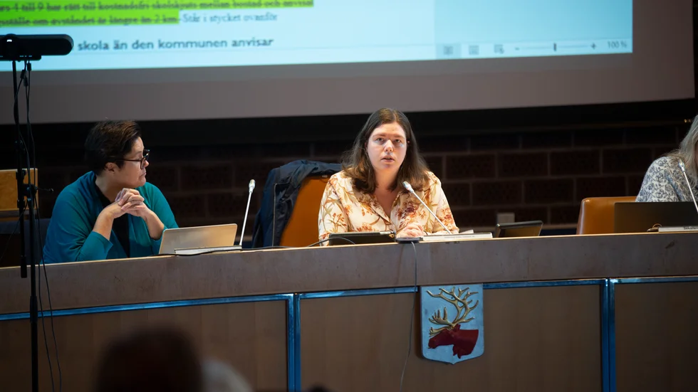 ”Vi försöker alltid ha så korta väntetider som möjligt. Problemet är när man slår fast exakt vad väntetiden ska vara", säger ordförande Louise Mörk (S).