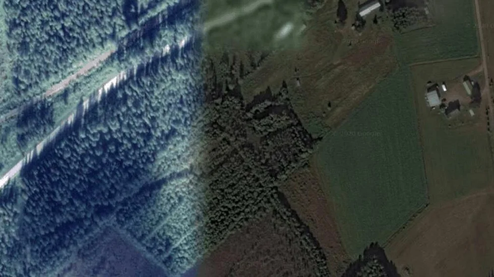 Området kring Bodträsk 12