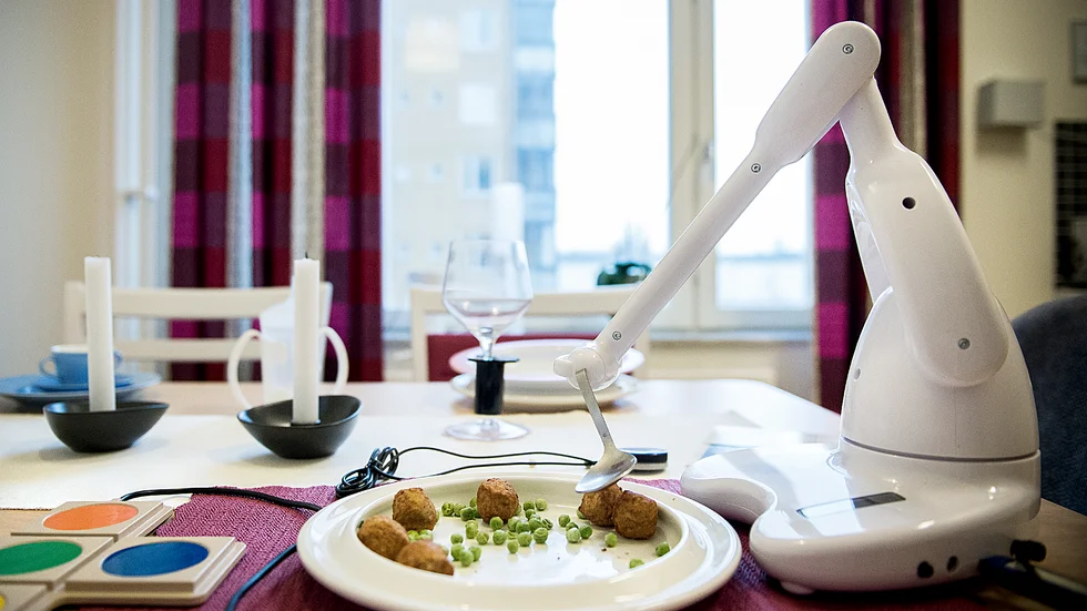 Skribenten vill inte bli matad eller omhändertagen av en robot.