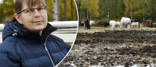 Ridklubben har akut behov att rusta upp anläggningen