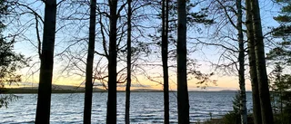 Fler naturnära jobb skapas i Skellefteå och Umeå: ”Finns plats för 64 personer” 