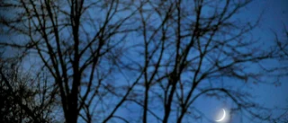 Hopplöshetens pandemi breder ut sig – men ge inte upp