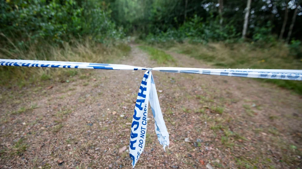 Här, i ett skogsområde utanför Markaryd, hittades den 70-åriga mannen avliden i augusti 2019. Två män dömdes av tingsrätten för att ha mördat honom. Arkivbild.