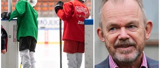 Förslaget: Bygg ishall i södra Linköping