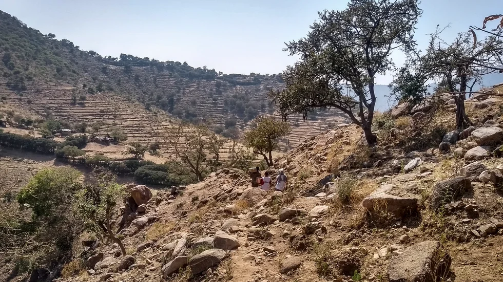 En grupp för organisationen Läkare utan gränser i Tigray. Arkivbild.