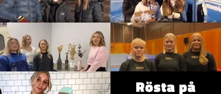 Rösta fram årets pitch 2021   