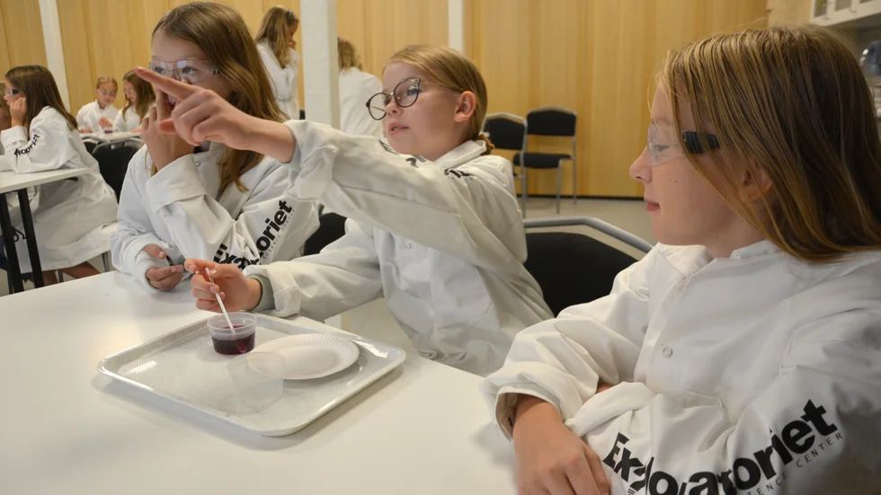 Ronja Möller Lasskogen, Astrid Vallin och Elvina Jansson jobbade ihop vid experimentet.