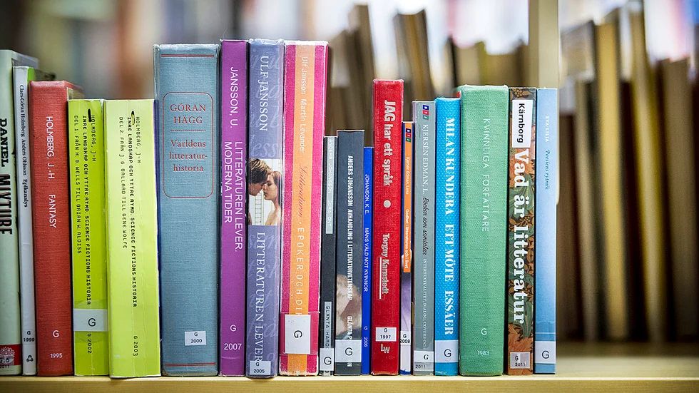 Skribenten efterlyser en aktuell biblioteksplan för Skellefteå.