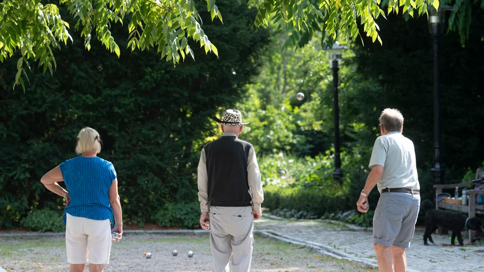 Pensionärer spelar boule i en park.