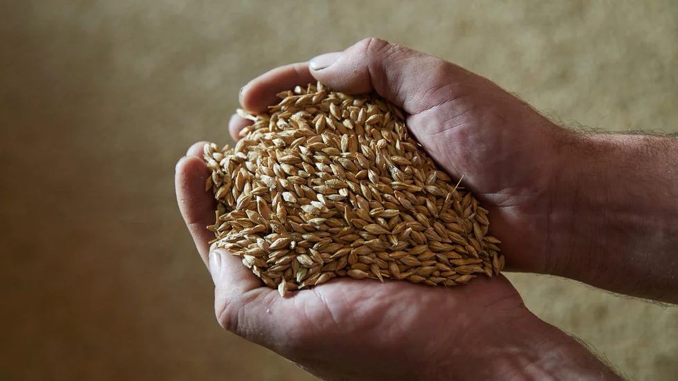 Efterfrågan på ekologisk mat har stannat upp, vilket har lett till ett överskott i produktionen och minskade intäkter för producenterna. Därför har flera lantbrukare helt eller delvis ställt om från ekoproduktion till konventionellt lantbruk.
