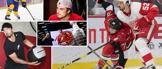 Jonathan Ericsson om ✔Framtiden ✔NHL-åren ✔Vita Hästen