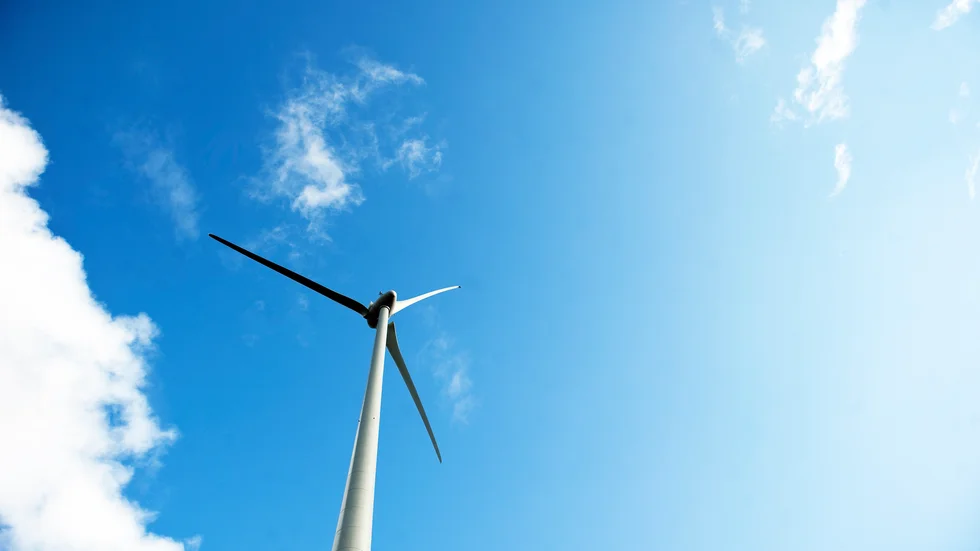 Vindkraften är en viktig del i klimatomställningen.
