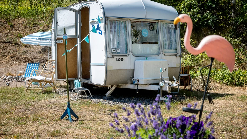 I husvagnstrenden ingår allt från miljonmodeller till uppfräschade retrovagnar. Sätter men ut en flamingo som på bilden behöver man kanske förbereda sig på oväntat besök...