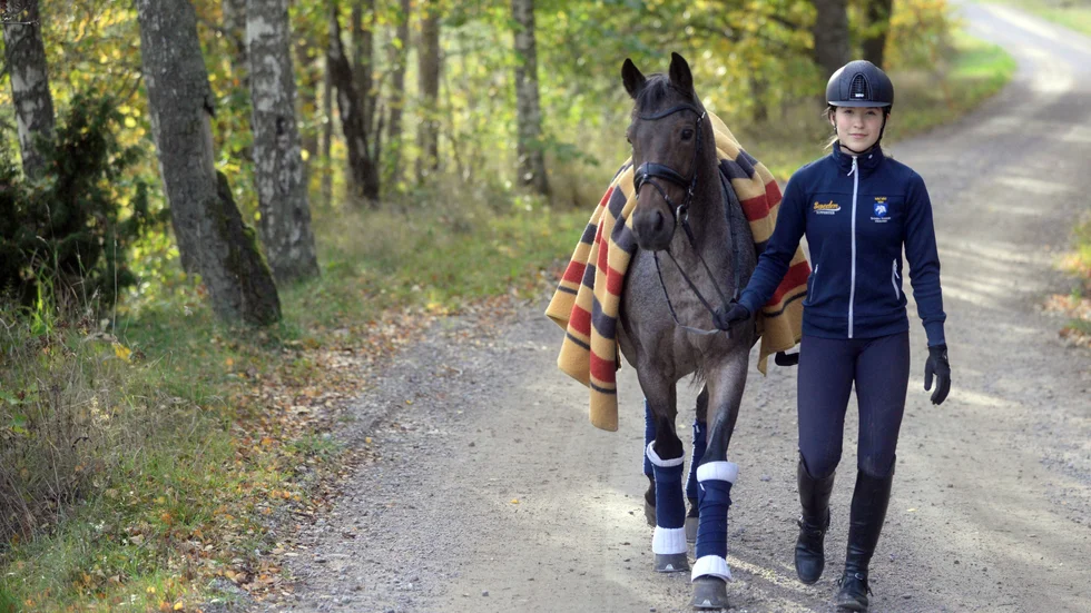 Tilda Nydahl Sund och Dogge Doggelito får nöja sig med elfteplatsen från kvaltävlingarna i SIHS ponnykürfinal.