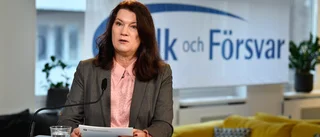Hylén: "Regeringen efterfrågar samsyn de själva saknar"