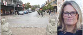 Polisen om efterhängsna mannen: Inget tyder på brott