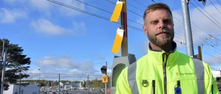 Luleå först ut i projekt om säkrare järnvägsövergångar