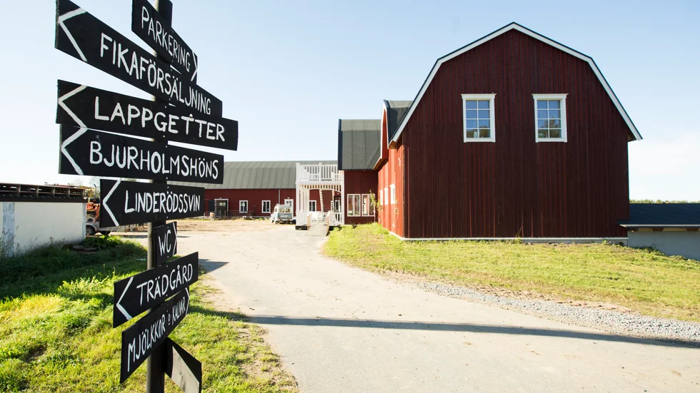 Kärngården, tidigare Bälinge Bondgård, har hållit stängt sedan augusti förra året och det ser inte ut att bli någon publik verksamhet i sommar. Framtiden för gården är oklar i dagsläget.