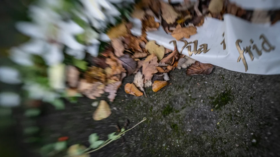 En första begravning där man använt en kista gjord helt av svampmycel har hållits i Nederländerna. Arkivbild.