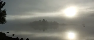 Läsarbilden: Sagolikt ljus    