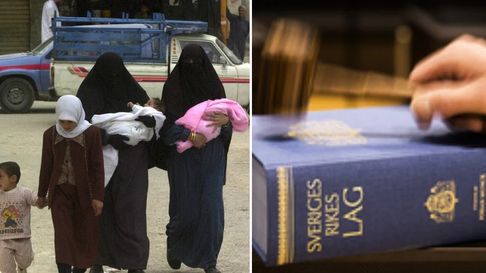 IS-kvinnan som nyss anlände till Arlanda är begärd häktad.  