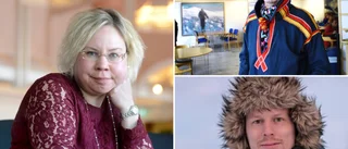 "Ny landshövding måste ha skinn på näsan" • Profilernas krav på Nilssons efterträdare