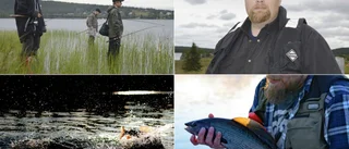 Stor ökning av sålda fiskekort