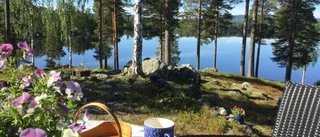 Läsarbilden                                  