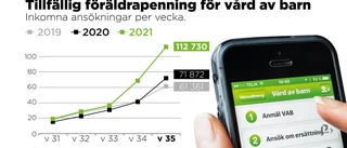 Ovanligt tidig vabtopp i höst – "Så här brant brukar det inte vara"