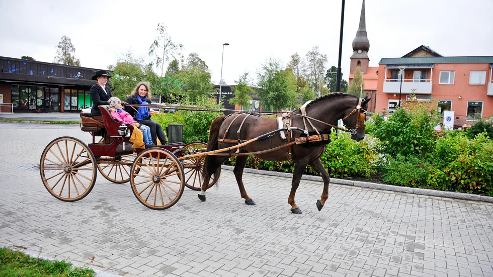 Tillsammans med kusken Elisa Thorell och hästen Azlan från Thorells morgan ranch, gjorde näringslivschefen Anja Palm och hennes dotter Felicia Pettersson Palm entré.