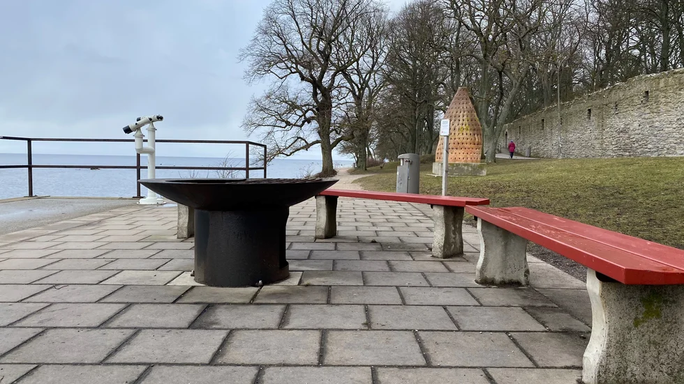 Ett förslag om fler grillplatser längs Strandpromenaden har skickats till regionen. 