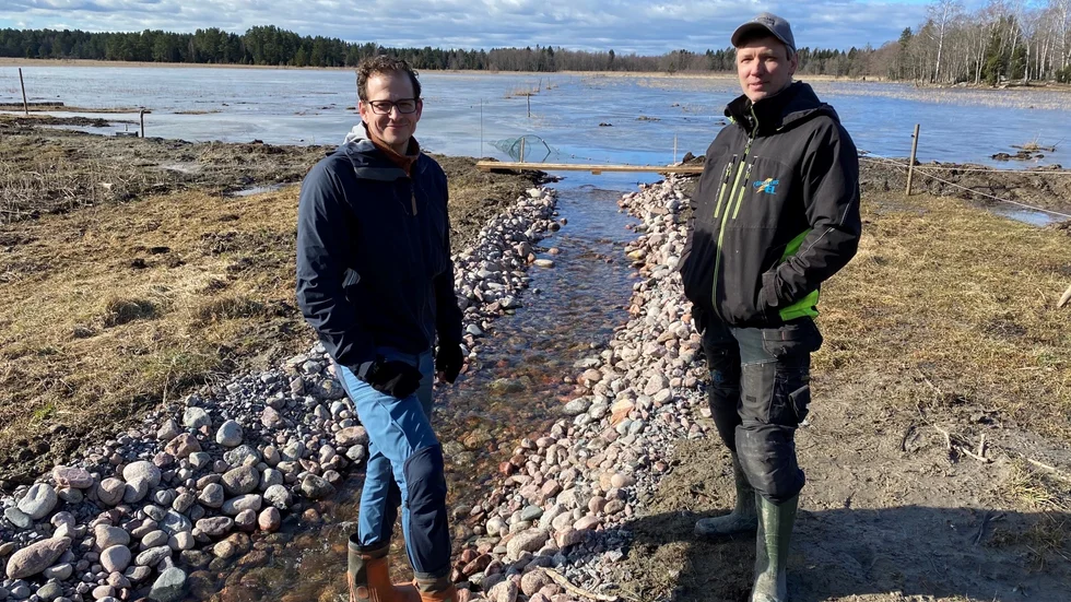 Tomas Loreth Remén och Johan Eriksson från Upplandsstiftelsen har haft huvudansvar för att skapa den så kallade fuktängen vid våtmarksområdet Fladen i Ledskär på Hållnäshalvön.