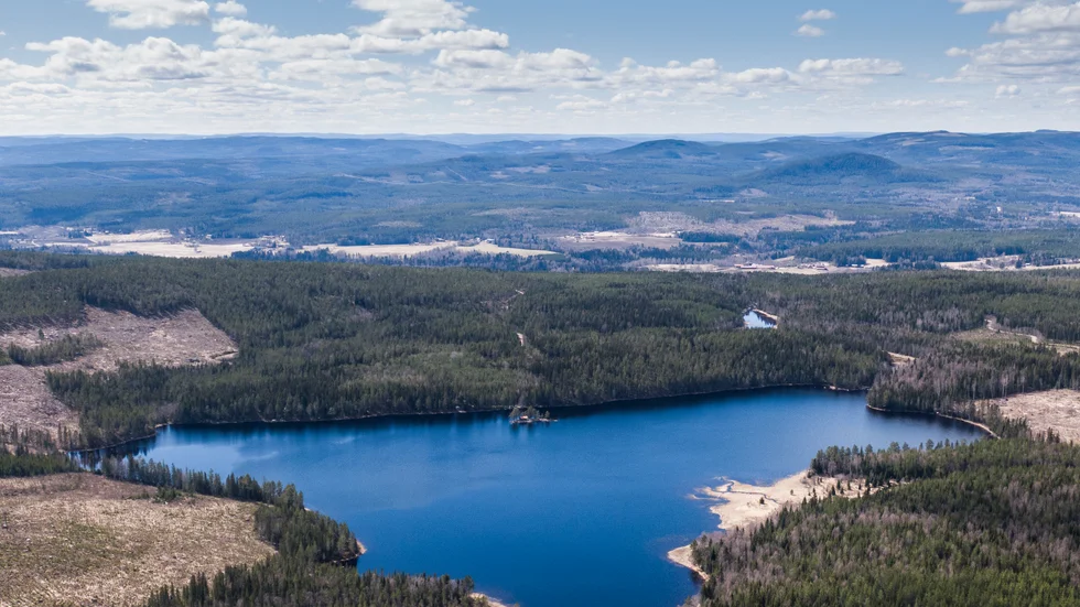 Bland annat här i hälsingeskogarna finns planer på att bryta vanadin, något som skapat oro och protester. Arkivbild.
